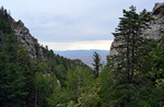 photo thumbnail #14