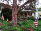photo thumbnail #6