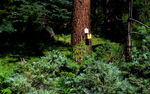 photo thumbnail #9
