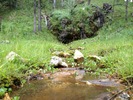 photo thumbnail #3
