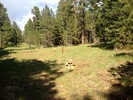 photo thumbnail #14