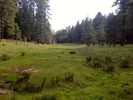 photo thumbnail #15