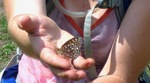 photo thumbnail #11
