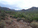 photo thumbnail #1
