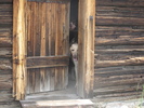 photo thumbnail #1