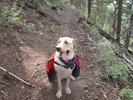 photo thumbnail #4
