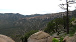 photo thumbnail #9
