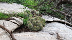 photo thumbnail #12