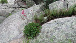 photo thumbnail #15