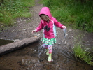 photo thumbnail #4