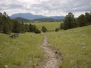 photo thumbnail #9