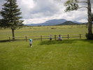 photo thumbnail #10