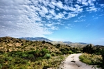photo thumbnail #1