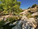 photo thumbnail #5