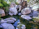 photo thumbnail #9