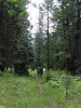 photo thumbnail #7