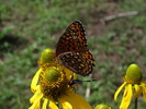 photo thumbnail #10