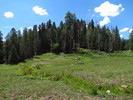 photo thumbnail #13