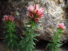photo thumbnail #13