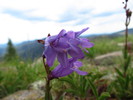 photo thumbnail #15