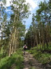 photo thumbnail #8