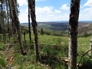 photo thumbnail #12