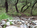 photo thumbnail #1