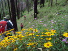 photo thumbnail #8
