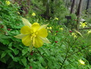 photo thumbnail #10