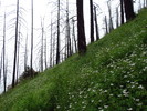photo thumbnail #11