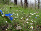 photo thumbnail #12