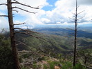 photo thumbnail #14