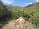 photo thumbnail #12
