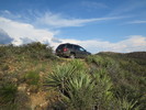 photo thumbnail #13