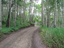 photo thumbnail #1