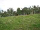 photo thumbnail #7