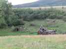 photo thumbnail #8