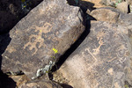 photo thumbnail #5