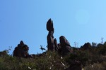 photo thumbnail #7