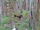 photo thumbnail #7