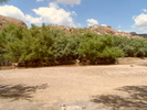 photo thumbnail #5