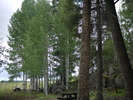 photo thumbnail #2