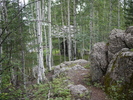 photo thumbnail #8