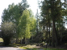 photo thumbnail #1