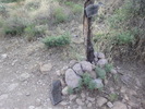 photo thumbnail #1