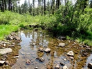 photo thumbnail #5