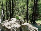 photo thumbnail #9