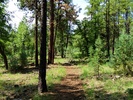 photo thumbnail #6