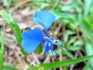 photo thumbnail #15