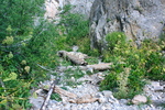 photo thumbnail #9